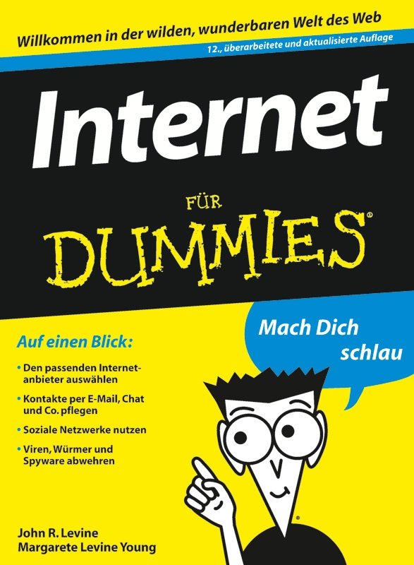 Internet für Dummies