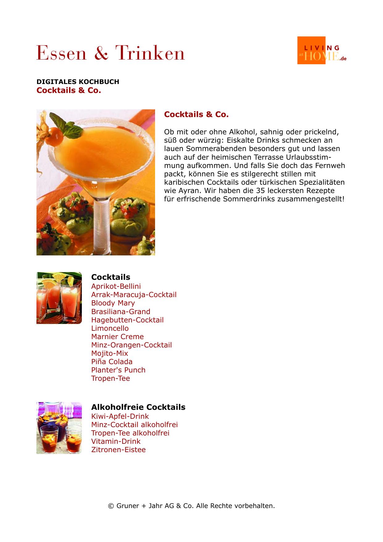 Digitales Kochbuch: Cocktails & Co.